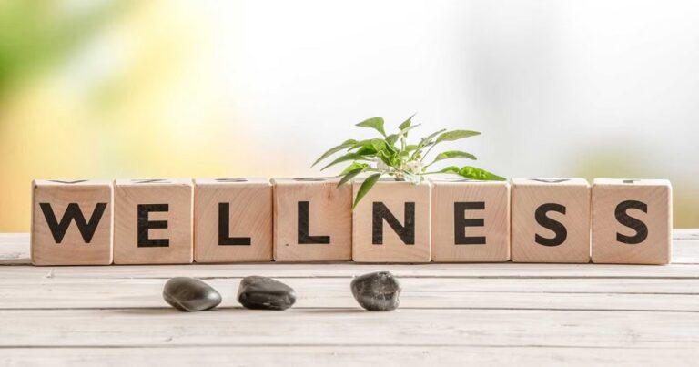 Wooden blocks spelling WELLNESS with a small green plant on top and three dark pebbles on a rustic table, representing Fort Wayne Health.