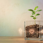 A small green plant growing in a clear glass planter, representing the growth and stability achieved through professional rehab treatment.